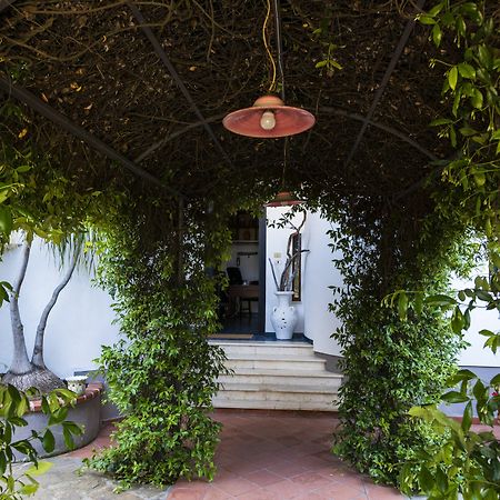 Villa Gio B&B De Charme مونتيكوريس المظهر الخارجي الصورة